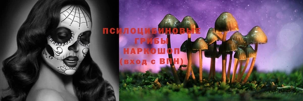 прущие грибы Абдулино