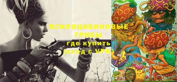 соль ск Абаза