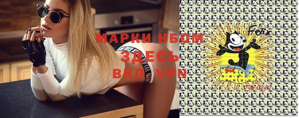 прущие грибы Абдулино