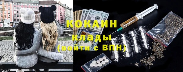 соль ск Абаза